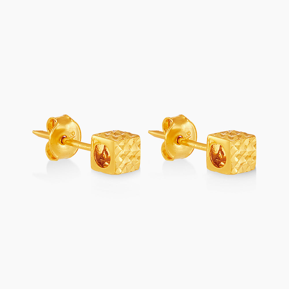 916/22K Yellow Gold Earrings 6300031Y